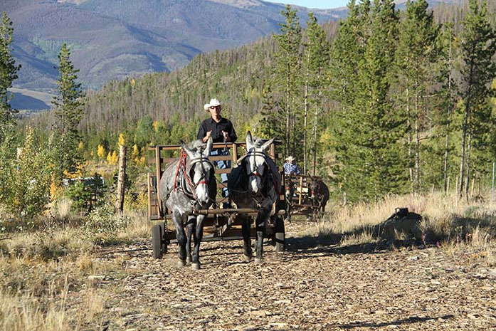 chuck-wagon-ride Activities - Summer - Colorado Activities - Book Today!
