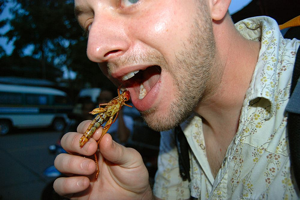 eating-bug Fun Factor Team Building Breckenridge, Vail & Keystone