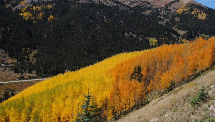 DSC_0243-700x400 image DSC_0243-700x400 Train Rides in Colorado | Leadville & Summit County Tours