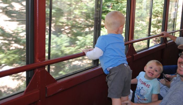 DSC_0254-700x400 image DSC_0254-700x400 Train Rides in Colorado | Leadville & Summit County Tours
