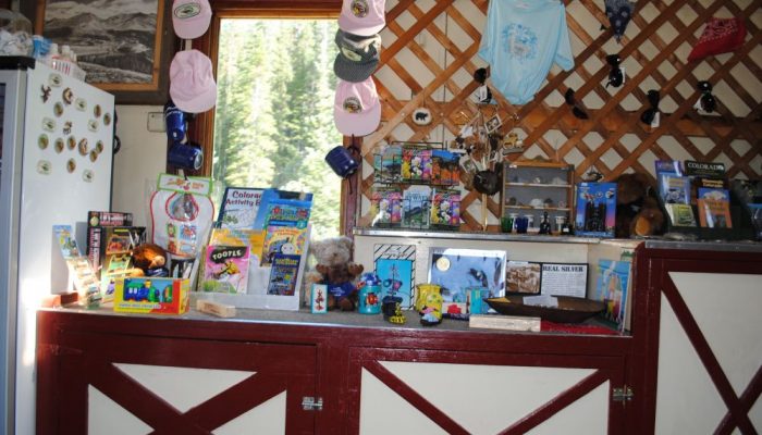 DSC_0255-700x400 image DSC_0255-700x400 Train Rides in Colorado | Leadville & Summit County Tours