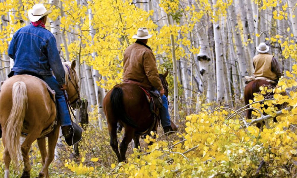horse-0ffa3d45 Horseback Riding Tours | Breckenridge, Leadville & Vail Valley