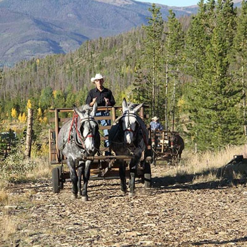 chuck-wagon-ride-4d25f71e Colorado Summer Activities | Rafting, Jeep Tours & UTV Rentals