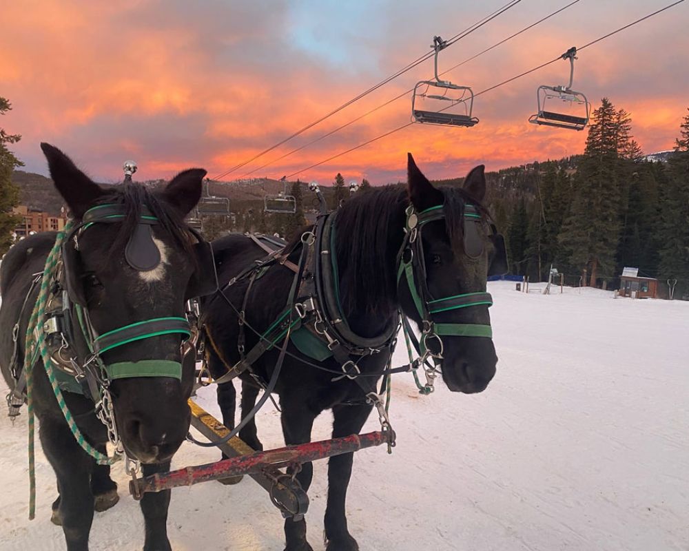 night-sleigh-rides-2-734693f5 Sleigh Rides & Dinner Rides Breckenridge, Vail, Keystone & Frisco