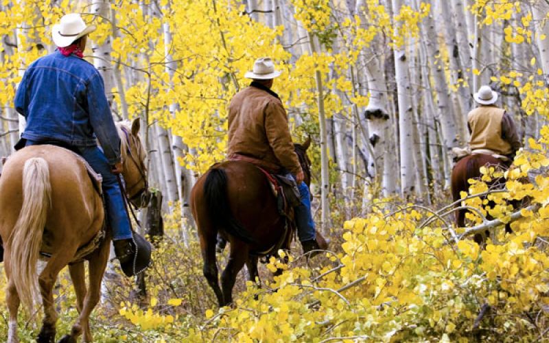 horse-7ef0af14 Things To Do In Colorado - Summer & Winter Activities