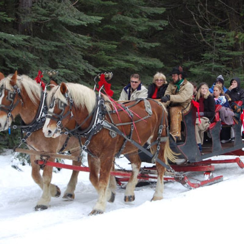 sleigh-b54c05e1 Winter Activities Breckenridge, Keystone, Vail & Copper Mountain