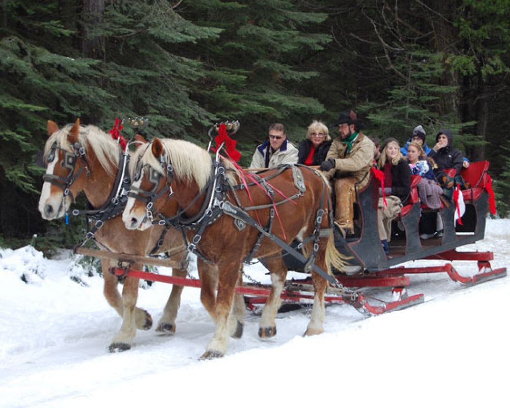 sleigh-beac0600 Sleigh Rides & Dinner Rides Breckenridge, Vail, Keystone & Frisco
