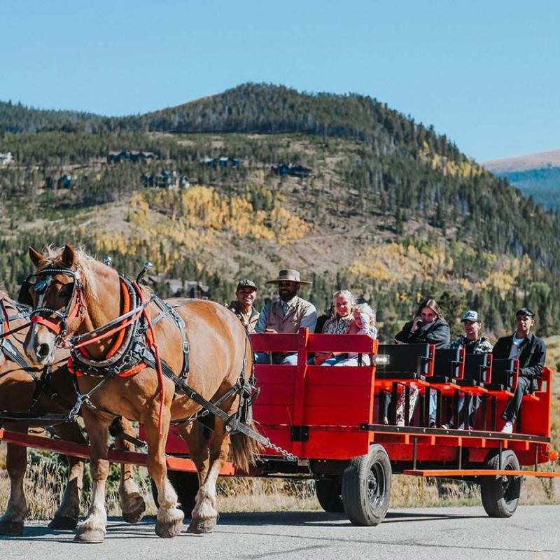 pumpkin-patch-5436-2048x1365-e7acea3c Colorado Summer Activities | Rafting, Jeep Tours & UTV Rentals