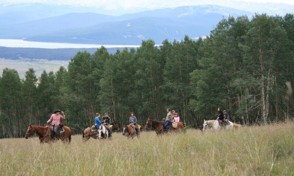 Leadville-Horse-pic-e977e2f9 Horseback Riding Tours | Breckenridge, Leadville & Vail Valley
