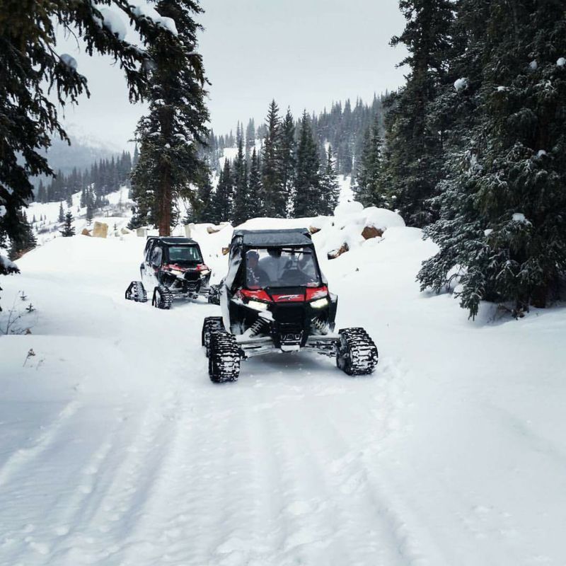 UTV-Trees-e9f77f94 Winter Activities Breckenridge, Keystone, Vail & Copper Mountain