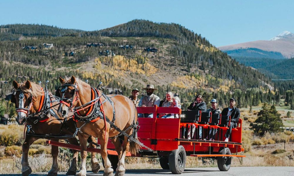 pumpkin-patch-5436-2048x1365-c3d31853 image pumpkin-patch-5436-2048x1365-c3d31853 Pumpkin Wagon Rides - Colorado Activities - Book Today!